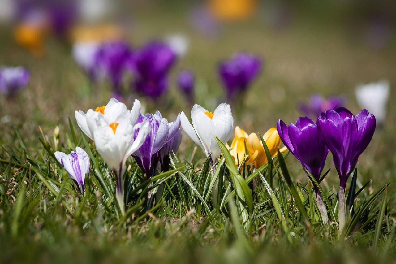Voel Je Thuis Zwolle  Dış mekan fotoğraf