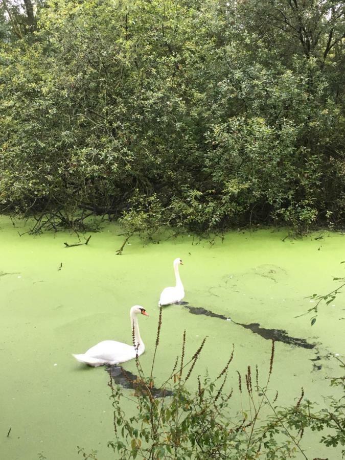 Voel Je Thuis Zwolle  Dış mekan fotoğraf